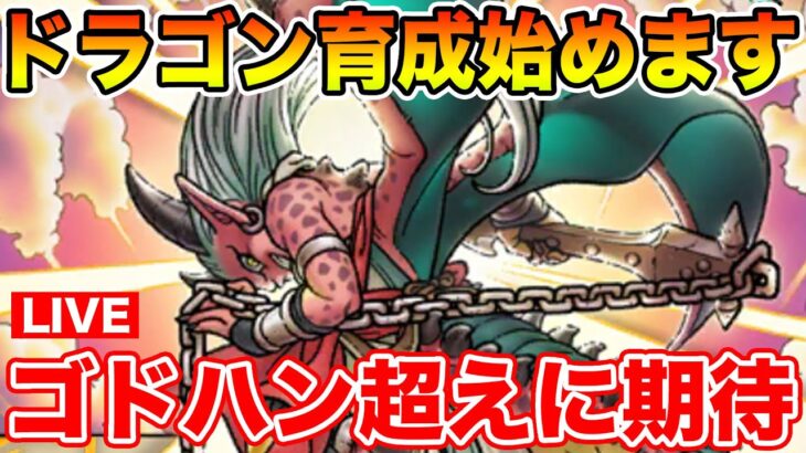 【ドラクエウォーク】ゴッドハンドに続け!! ドラゴン遂に育成開始!!【DQW】