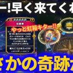 【ドラクエウォーク】悟空ーー！！はやくきてくれーーっ！！虹箱ゼロ続きの如意棒ガチャで神龍が奇跡を起こすの巻！？【孫悟空】【WALKフェス復刻】【おたから】