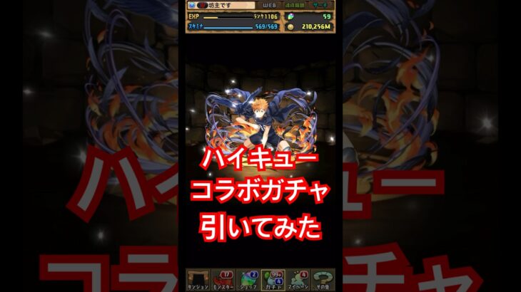 この子って主人公ですよね？#ハイキュー#パズドラ#ハイキューコラボガチャ#日向翔陽