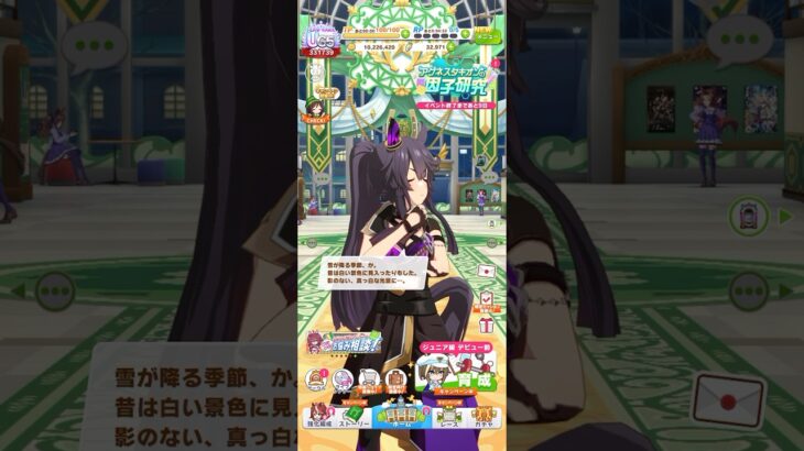 ウマ娘 プリティーダービー ナリタブライアン（餓狼）の冬限定ボイス 雪に夢中だった小さい頃を思い出すブライアン