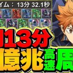 日向×影山は裏十億以外は弱い？→新億兆も13分周回で破壊！最強リーダー遂に確定！【パズドラ】