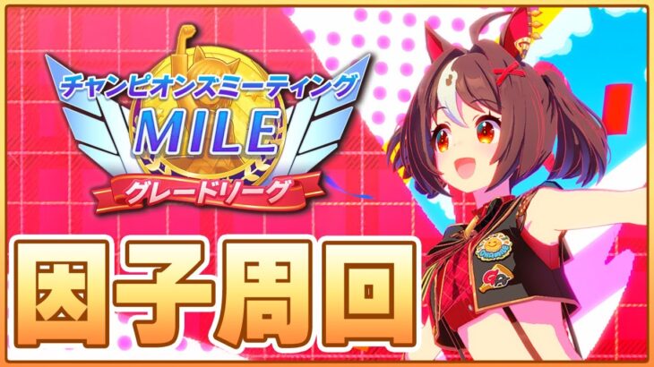 【ウマ娘】切れ者グラン更新狙って本育成！ ← タキオンレポート終了まであと1時間30分！因子周回しながら相談受け付けします【チャンピオンズミーティングMILE／阪神1600】