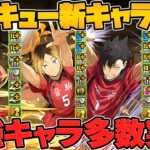 【インフレ】ハイキュー新キャラ6体性能解説！ダメージ半減が遂にループ！？火属性が壊れます！【パズドラ】