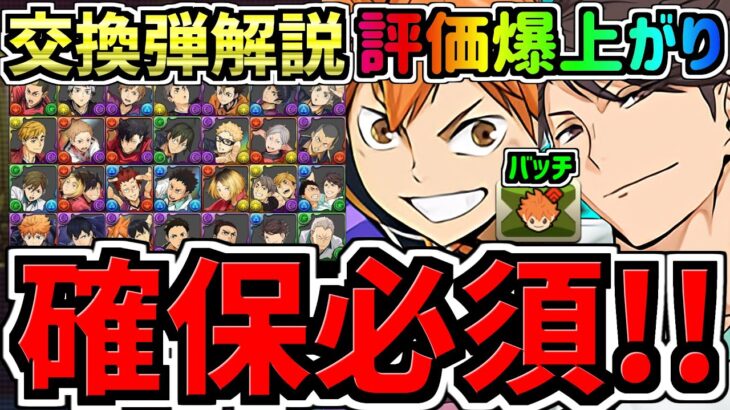 【確保必須】評価爆上がり！日向&影山(コラボバッチ)や及川の交換には誰残すべき？確保解説＆交換の弾解説！ハイキューコラボ交換所解説【パズドラ】