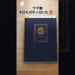 ウマ娘 今日もガチャ引いた　#ウマ娘 #ウマ娘プリティーダービー　#ガチャ #ウマ娘４周年　