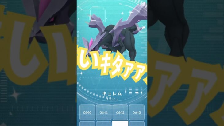【ポケモンGO】もう、まじ最高…#ポケモンgo #ポケモン #キュレム #おすすめにのりたい #おすすめ #shorts