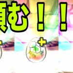 恐怖と絶望の『スーリア一点狙いガチャ』【パズドラ】