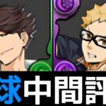 【これは4体残して!】ハイキュー交換所解説！推奨キャラと交換弾の残し数について【パズドラ】