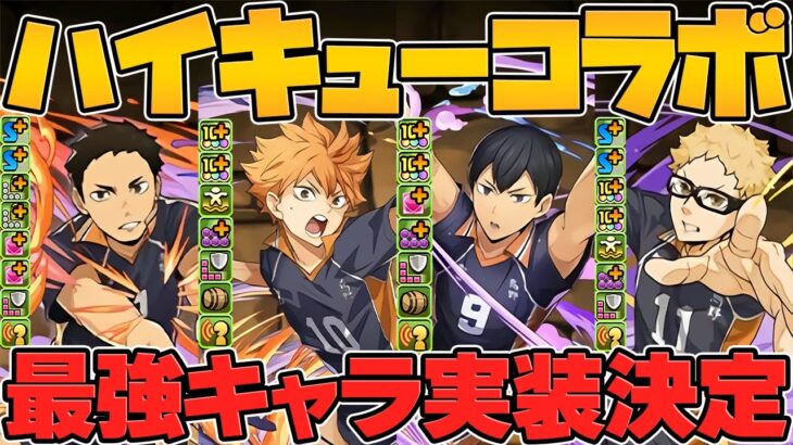 【インフレ確定】ハイキュー新キャラ6体性能解説！マジで人権最強ぶっ壊れチートなんだがｗｗｗｗ【パズドラ】