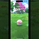やばい！色違いカイロス！ #shorts #ポケモン #ポケポケ #ポケモンカード #ポケモンgo