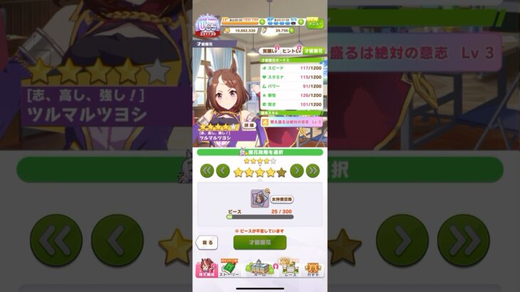 ウマ娘 プリティーダービー ツルマルツヨシ・才能開花『燃え盛るは絶対の意志 Lv3』＆覚醒Lv5