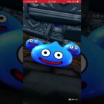 ドラクエウォーク ⭐️5確定引いてみた#ドラゴンクエストウォーク