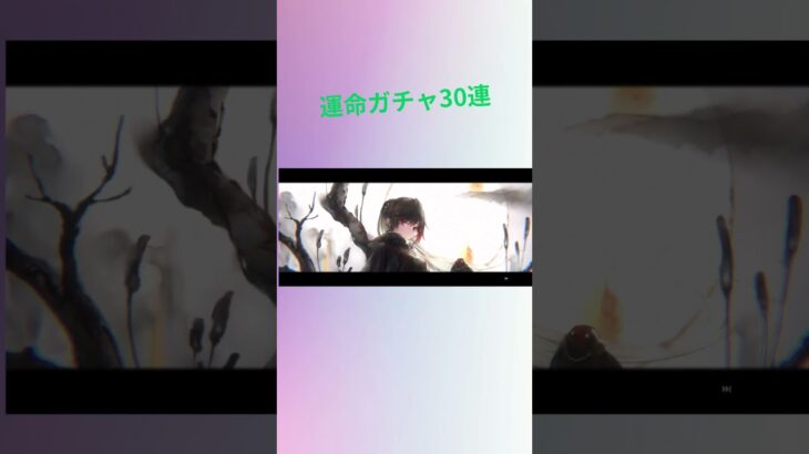 【メメモリ】ガチャ日記 #メメモリ #メメントモリ #shorts