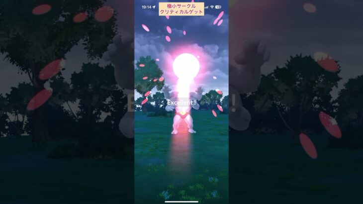 【難易度低】カイリキー極小サークルクリティカルゲット【ポケモンGO】