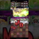 回復頑張れ！！【パズドラ】