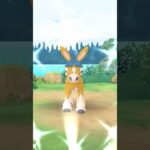 1発目から色違いドロバンコ⁉️🐎　#ポケモンGO #ドロバンコ　#色違いドロバンコ