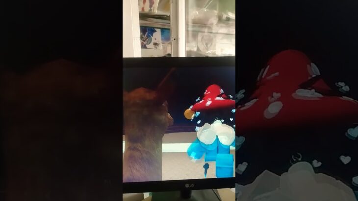 #ウマ娘プリティーダービー XD