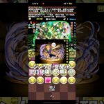 【パズドラ】ハイキューコラボの良いところを言いまくってみた#パズドラ #shorts #ハイキュー #コラボ #日向翔陽 #影山飛雄 #雑談 #トーク