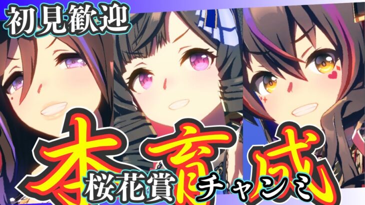 【ウマ娘】サポカ編成決まったので、本育成始めていくぞ！！！/出走メンバー：青ダイイチルビー・赤ダイタクヘリオス・1枠悩み中