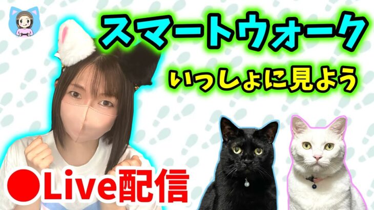 【ドラクエウォーク配信】いよいよDBコラボ終了…！次のスマートウォークをいっしょに見よう！【ひなさんゲ。】