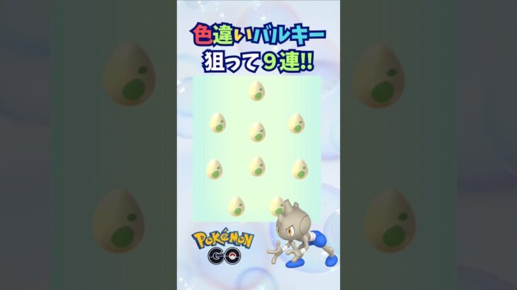 色違いバルキー狙って卵孵化９連♪【ポケモンGO】