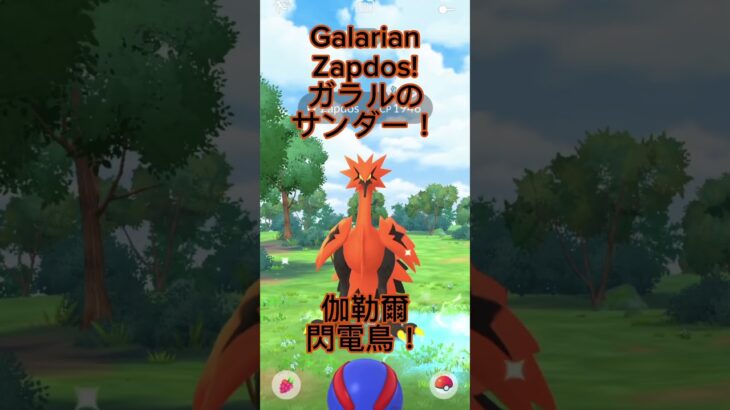 [Pokémon GO] G-Zapdos Encountered In Kyoto! 在京都與伽勒爾閃電鳥的邂逅！京都でガラルのサンダーに遭遇 #pokemongo
