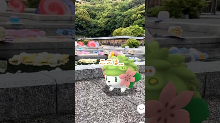 【ポケモンGO】ミーをお肌連れていくでしゅ!! シェイミ