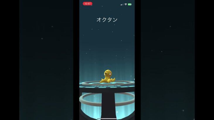 【ポケモンGO】　テッポウウオ色違い進化前紫🟣→オクタン何色⁉️