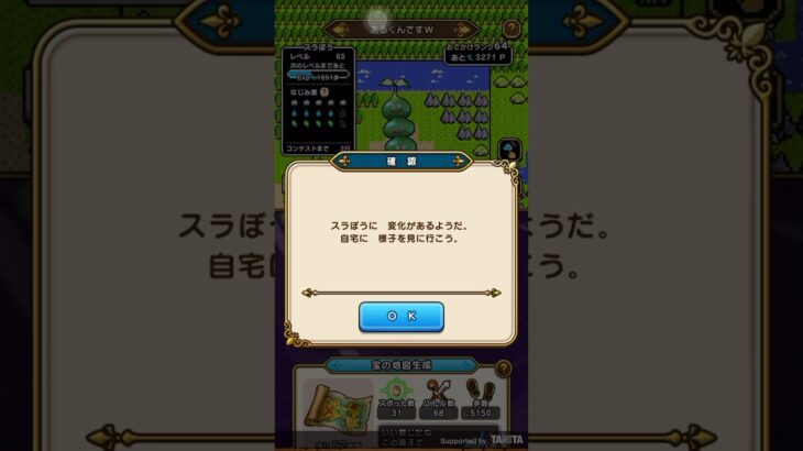 DQW今日のできごと-4日目- #ドラクエウォーク