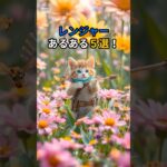 【ドラクエウォーク】主夫勇者のレンジャーあるある５選！ #Shorts #猫 #ドラクエウォーク #あるある