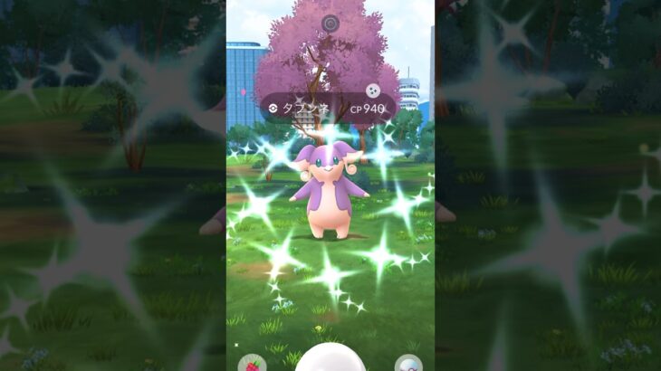 【ポケモンGO】メガタブンネ！レイドデイで高個体＆色違いチャレンジ！！#nintendo #pokemon #pokemongo #ポケモン #ポケモンgo #色違い #タブンネ #メガタブンネ