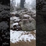 ヤバいのに絡まれた😩 #retrogaming #nintendo #ドラクエウォーク＃ドラゴンクエスト