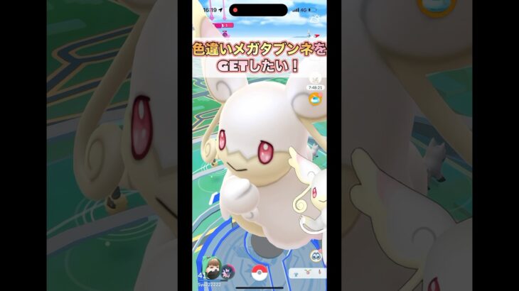 色違いメガタブンネをGETしたい！😆#ポケモンgo #pokmongo #shorts