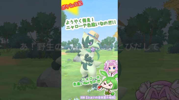 【ポケGO日記】ニャローテ 色違いGETなのだ！ #shorts  #ポケモンgo  #ニャローテ #色違い #茶番 #ずんだもん #四国めたん #pokemongo