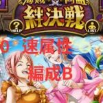 『トレクル』絆決戦 VS ビビ＆レベッカ ★10 速属性 LV32～(編成B)