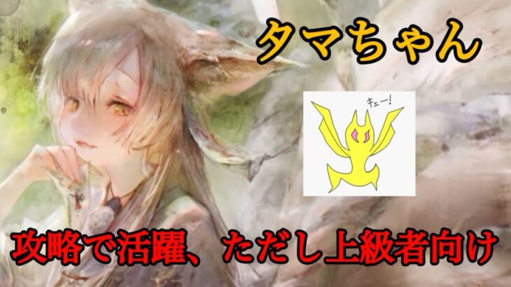 【メメントモリ】タマちゃん復刻！上級者向け攻略班【メメモリ】