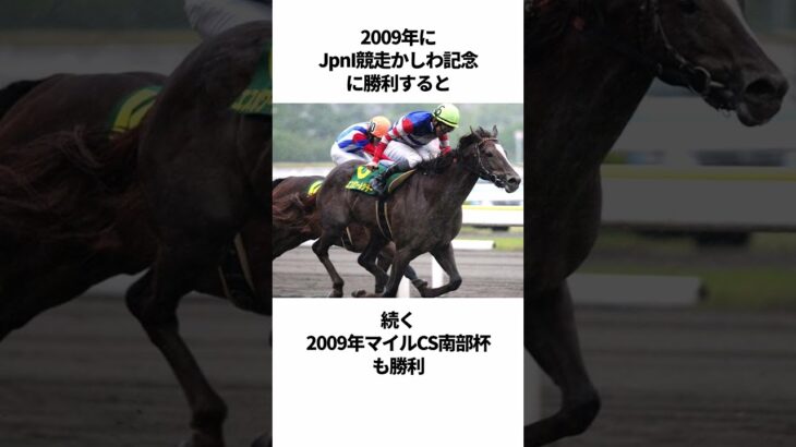 【ウマ娘】エスポワールシチーのヤバすぎる雑学 #Shorts