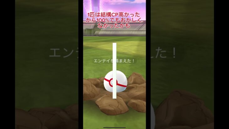 ダイマックスエンテイ初実装#ポケモンgo #ポケモン #pokemongo #pokemon #ダイマックスエンテイ#ダイマックス#技避けられないバグ継続中