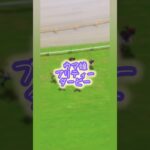 #ウマ娘 #プリティーダービー #目指せ最強チー厶 #ゲーム #ソシャゲー #攻略 #推しキャラ #shorts