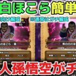 【ドラクエウォーク】桃白白ほこら両難易度の簡単攻略！新規勢さん向け編成も立ち回り解説します！ただ孫悟空がチート級でぶっ壊れ仕様で楽しいです！w【DQウォーク】