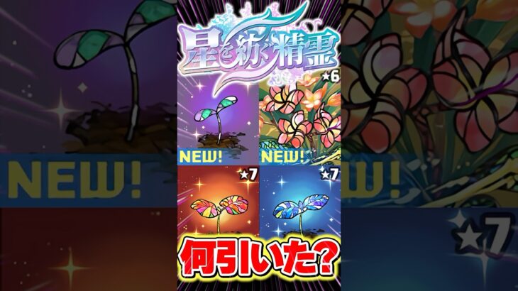 星を紡ぐ精霊ガチャ開催！皆は何でた？【パズドラ】#shorts #星を紡ぐ精霊 #パズドラ