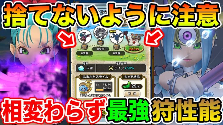 【ドラクエウォーク】この期間捨てないように注意して下さい!! 環境が変わっても最強狩性能でした!!【DQW】