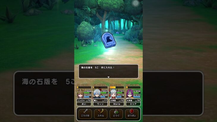 DQW今日のなんでもつめあわせ-1- #ドラクエウォーク