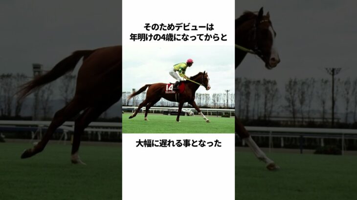 【ウマ娘】マヤノトップガンのヤバすぎる雑学 #Shorts