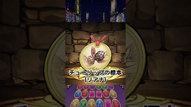 星を紡ぐ精霊イベントで個人的に気になったアシスト３選【てるよしちゃんねる】#Shorts #パズドラ