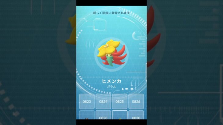 かわよ☺️🏵️ #ポケモンgo #ポケモン #pokemongo #pokemon #ヒメンカ #new #図鑑 #チャンネル登録お願いします #shorts