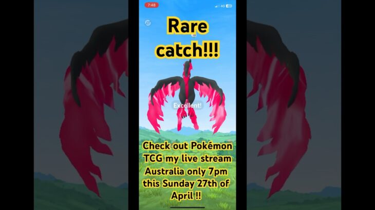 A Extremely rare catch in Pokémon go! (Galarian Molters encounter🤯) #pokemon #pokemongo #trending