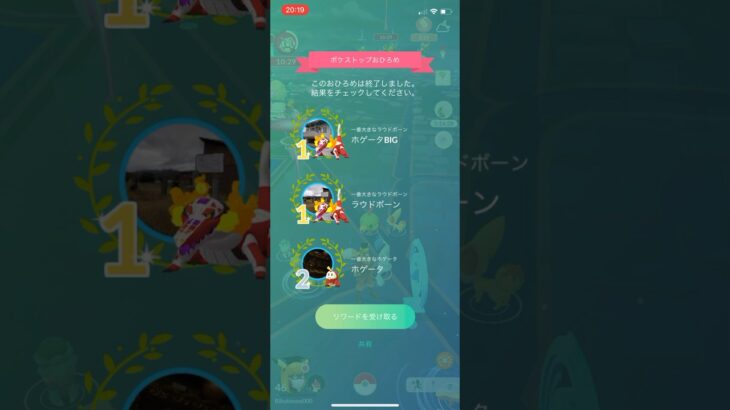 ポケモンGOホゲータお披露目1位1位2位リワード結果#ポケモン #ポケモンgo #pokemongo