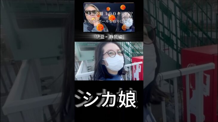 シカ娘 #shorts  #vlog  #ドラゴンボール #ドラクエウォーク #面白い  #鹿