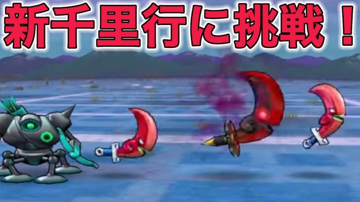 【ドラクエウォークLive】ボーンファイター千里行やっていきます